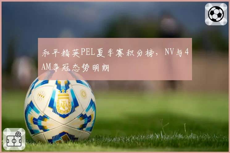 和平精英PEL夏季赛积分榜，NV与4AM争冠态势明朗