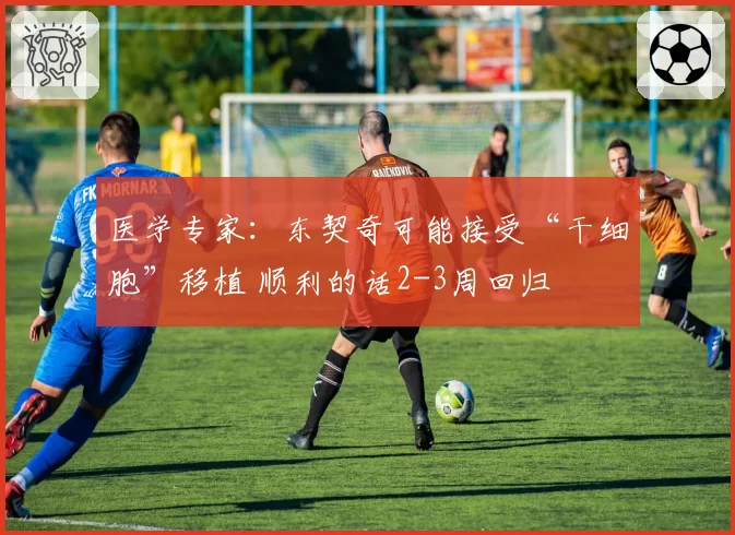 医学专家：东契奇可能接受“干细胞”移植 顺利的话2-3周回归