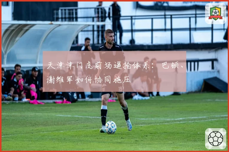 天津津门虎前场逼抢体系：巴顿、谢维军如何协同施压