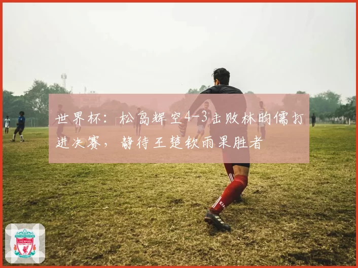 世界杯:松岛辉空4-3击败林昀儒打进决赛,静待王楚钦雨果胜者