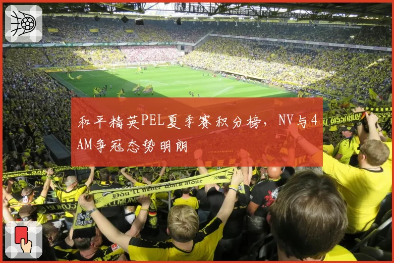 和平精英PEL夏季赛积分榜，NV与4AM争冠态势明朗