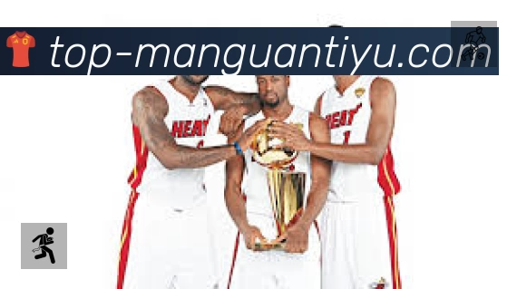 满冠体育官网直达平台展示